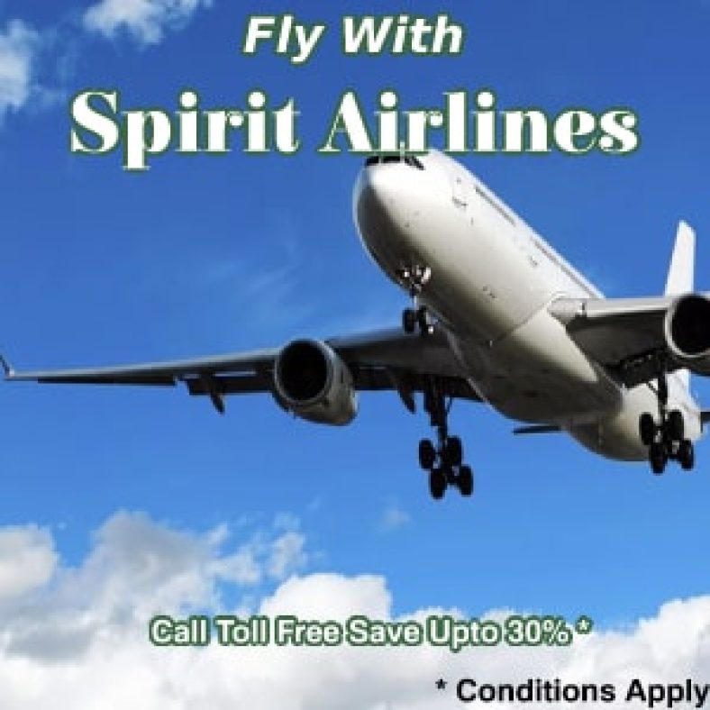 Allegiant Airlines Deals, Promo Codes, Coupons & Discounts